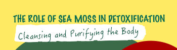 The Role of Sea Moss in Detoxification: Cleansing and Purifying the Body