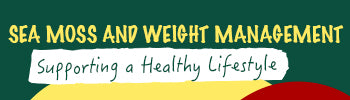 Sea Moss and Weight Management: Supporting a Healthy Lifestyle