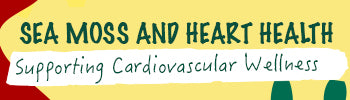 Sea Moss and Heart Health: Supporting Cardiovascular Wellness